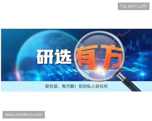 开云KY电竞平台的合作伙伴与赞助资源分析助力赛事规模扩大
