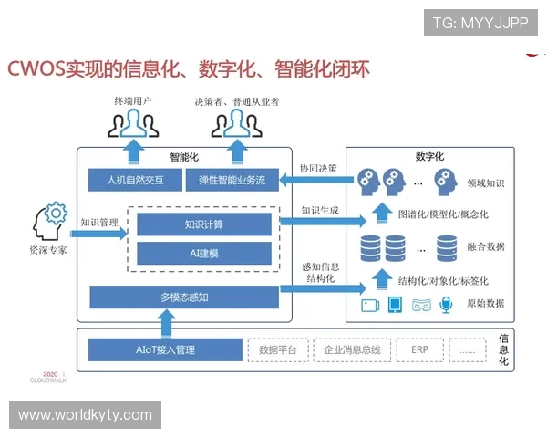 开云最新网站登录流程全攻略，帮助新用户快速注册与登录操作指南